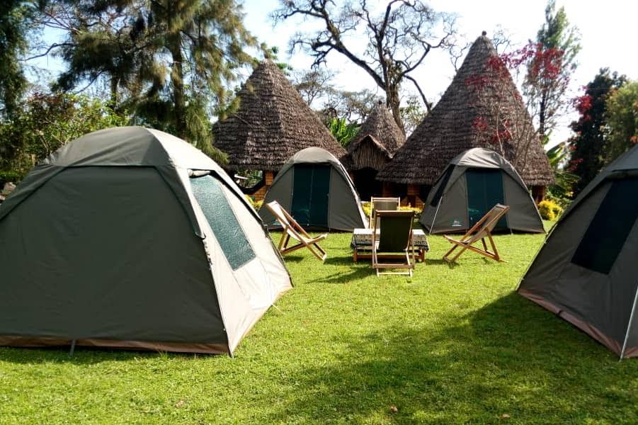 camping safaris