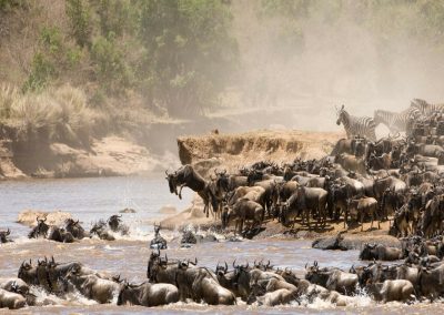 Four-day Ngorongoro and Serengeti Safari