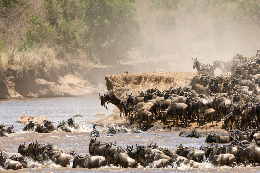 Tanzania Serengeti Migration Safari – 10 Days