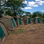 Tanzania Camping Safari to Lake Manyara, Serengeti and Ngorongoro Crater - 5 Days