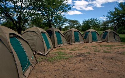 Tanzania Camping Safari to Lake Manyara, Serengeti and Ngorongoro Crater – 5 Days