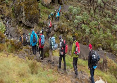 Kilimanjaro Climbing Lemosho Route – 9 Days