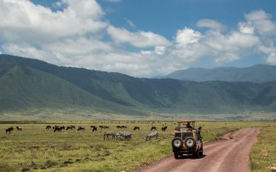 Tarangire Serengeti Ngorongoro Crater – 4 Days