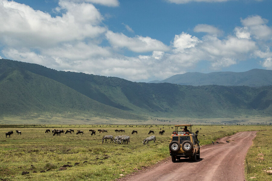 Tarangire Serengeti Ngorongoro Crater - 4 Days
