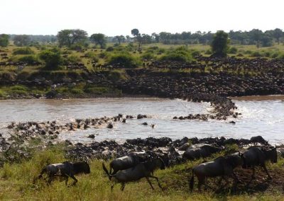 Central Serengeti Wildebeest Migration – 6 Days