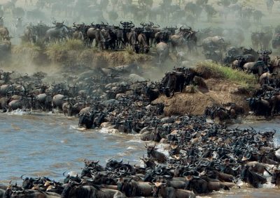 The Eastern Serengeti Wildebeest Migration – 6 Days