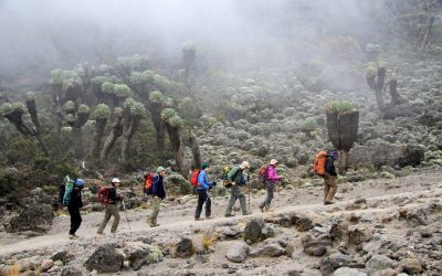 Kilimanjaro Climbing Rongai Route – 6 Days