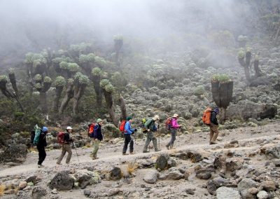 Kilimanjaro Climbing Rongai Route – 6 Days