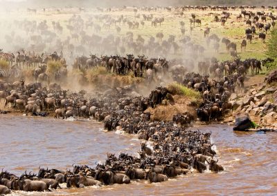 Western Serengeti Wildebeest Migration By The Grumeti River – 7 Days