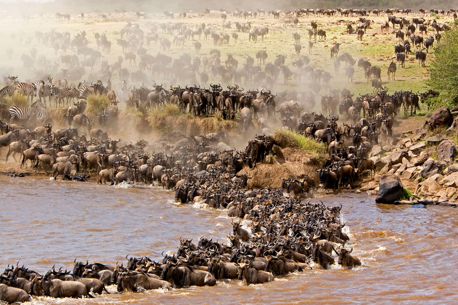 Western Serengeti Wildebeest Migration By The Grumeti River – 7 Days