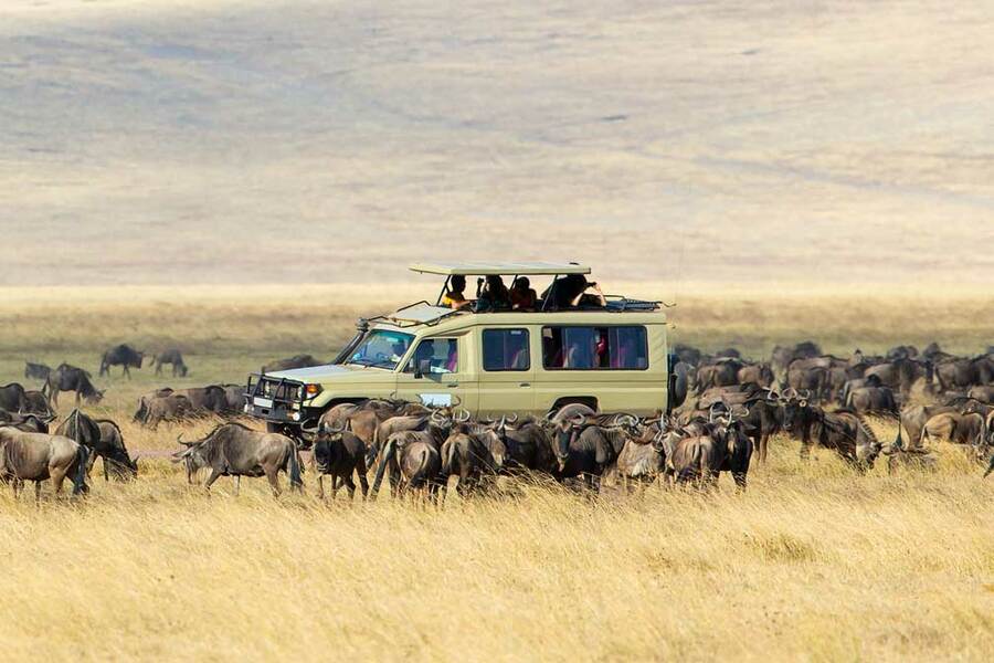 Serengeti National Park Safari - 13 Days