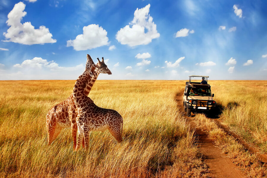 Serengeti Safari Tours and Holidays - 5 Days
