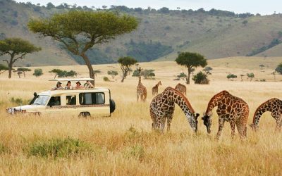 Standard Safari in Kenya, Tanzania and Zanzibar – 13 Days