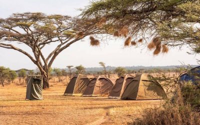 Tanzania Budget Camping Safari Serengeti Ngorongoro – 8 Days