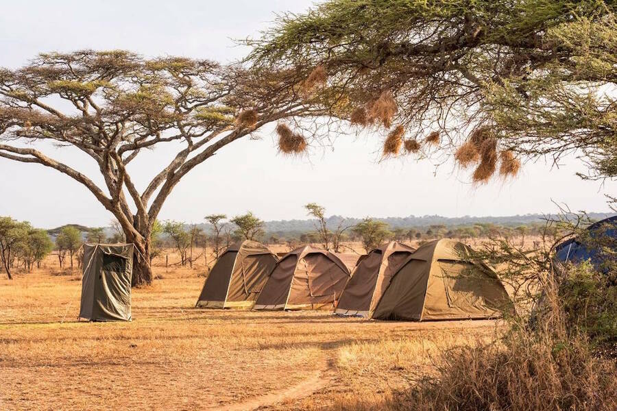 camping_safari_budget