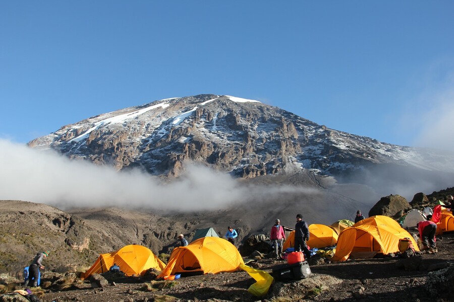 Kilimanjaro Trekking Lemosho Route - 8 Days