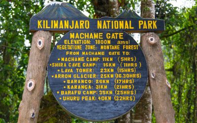Safari to Kilimanjaro, Manyara and Ngorongoro – 10 Days
