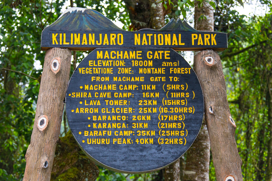 Safari to Kilimanjaro, Manyara and Ngorongoro - 10 Days